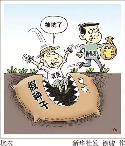 網(wǎng)上購買到假種子導(dǎo)致絕收，該怎么辦？購買多注意，維權(quán)有方法??？